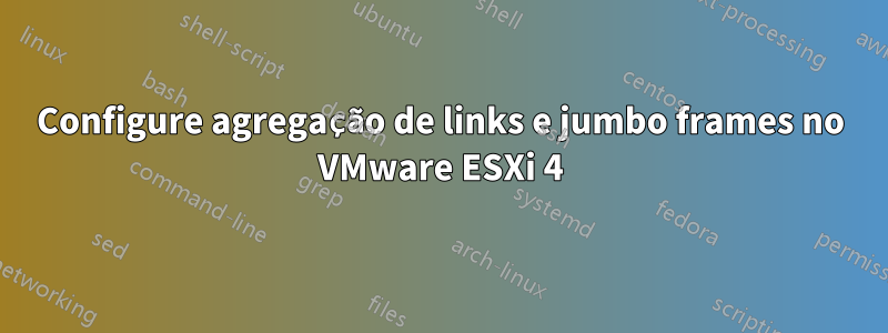 Configure agregação de links e jumbo frames no VMware ESXi 4