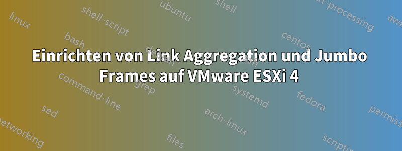 Einrichten von Link Aggregation und Jumbo Frames auf VMware ESXi 4