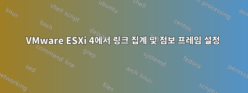 VMware ESXi 4에서 링크 집계 및 점보 프레임 설정