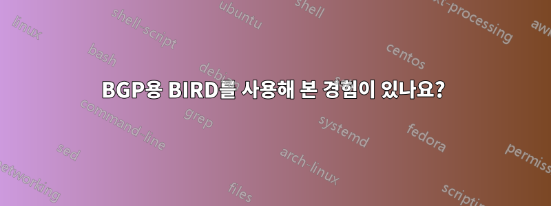 BGP용 BIRD를 사용해 본 경험이 있나요?