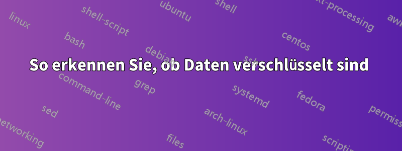 So erkennen Sie, ob Daten verschlüsselt sind