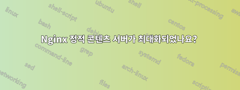 Nginx 정적 콘텐츠 서버가 최대화되었나요?