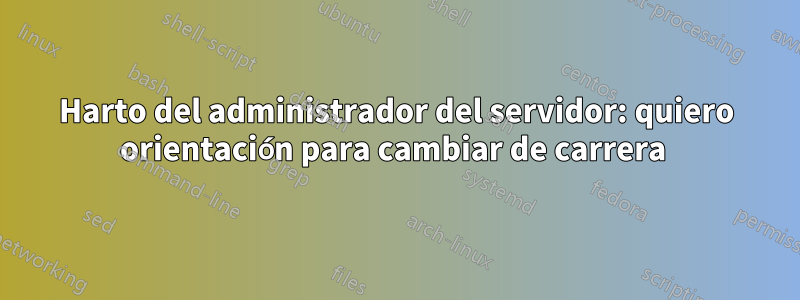 Harto del administrador del servidor: quiero orientación para cambiar de carrera 