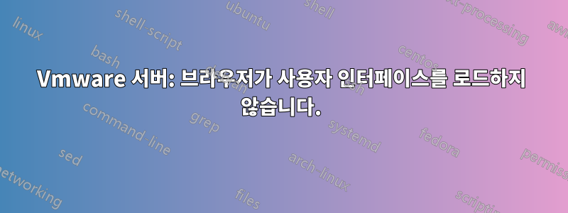 Vmware 서버: 브라우저가 사용자 인터페이스를 로드하지 않습니다.