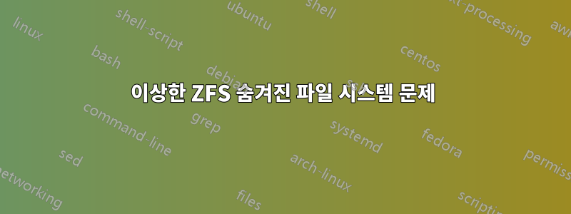 이상한 ZFS 숨겨진 파일 시스템 문제