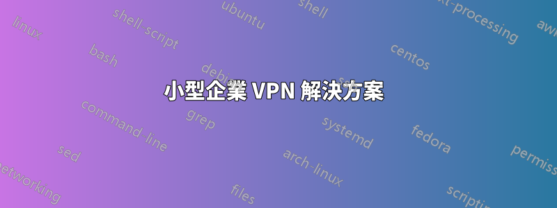 小型企業 VPN 解決方案 