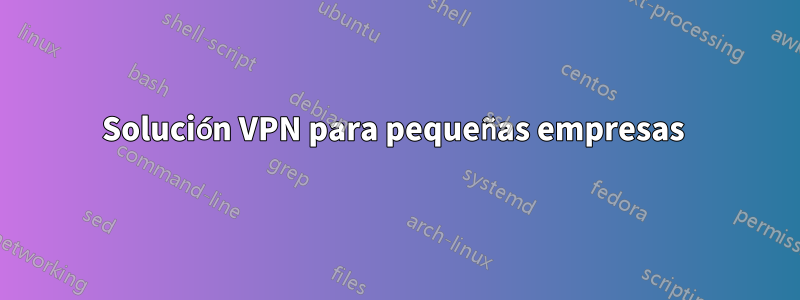 Solución VPN para pequeñas empresas 