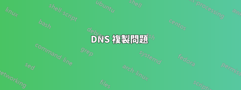DNS 複製問題