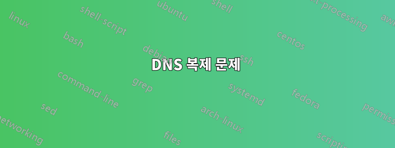DNS 복제 문제