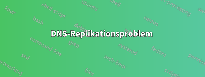 DNS-Replikationsproblem