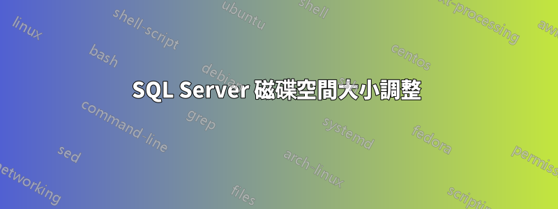SQL Server 磁碟空間大小調整