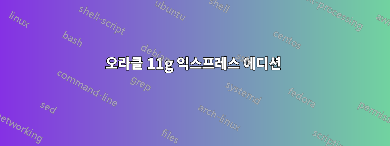 오라클 11g 익스프레스 에디션