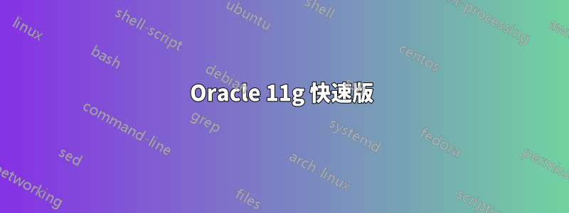 Oracle 11g 快速版