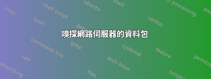 嗅探網路伺服器的資料包