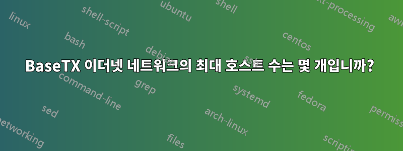 100BaseTX 이더넷 네트워크의 최대 호스트 수는 몇 개입니까?