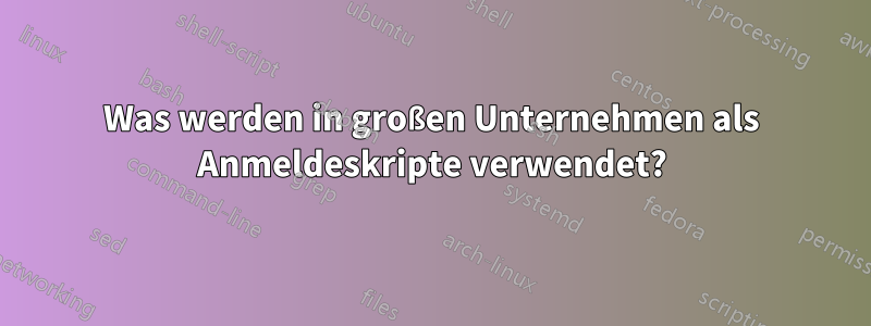 Was werden in großen Unternehmen als Anmeldeskripte verwendet?