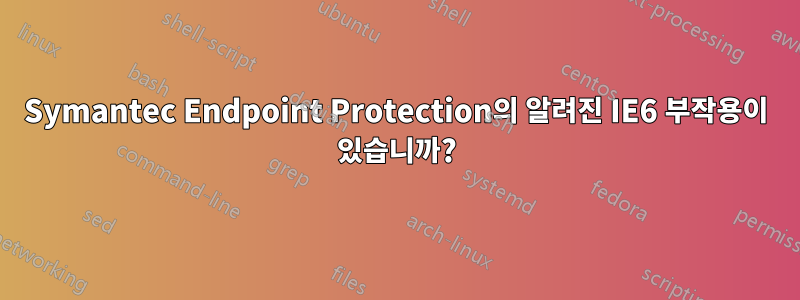 Symantec Endpoint Protection의 알려진 IE6 부작용이 있습니까?