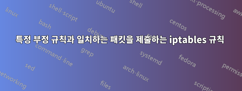 특정 부정 규칙과 일치하는 패킷을 제출하는 iptables 규칙