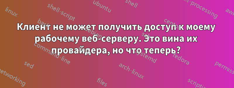 Клиент не может получить доступ к моему рабочему веб-серверу. Это вина их провайдера, но что теперь?