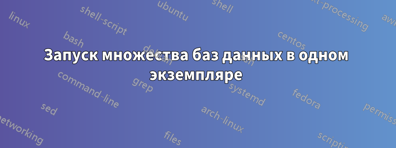 Запуск множества баз данных в одном экземпляре