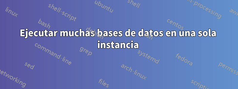 Ejecutar muchas bases de datos en una sola instancia