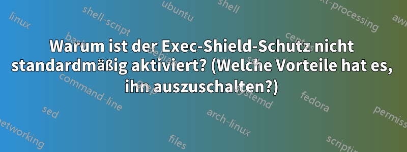 Warum ist der Exec-Shield-Schutz nicht standardmäßig aktiviert? (Welche Vorteile hat es, ihn auszuschalten?)