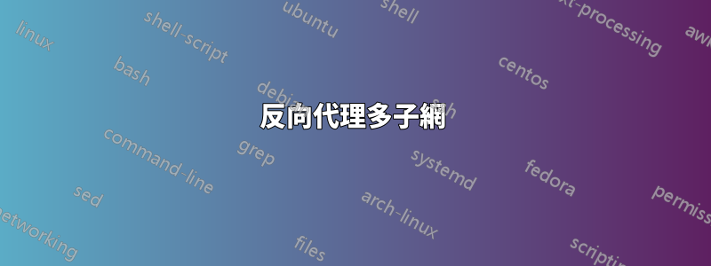 反向代理多子網