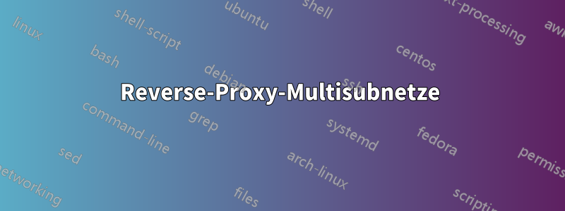 Reverse-Proxy-Multisubnetze