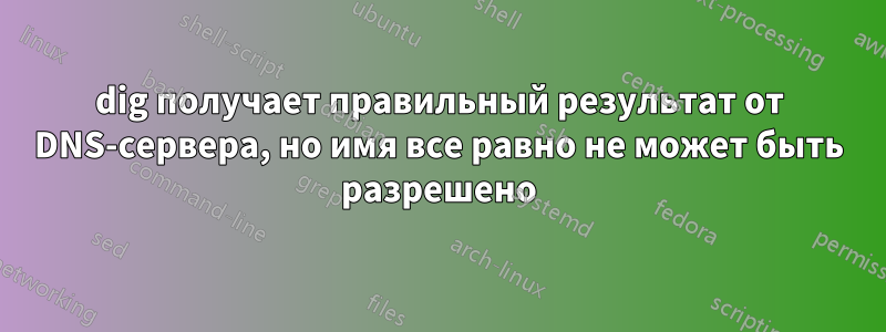 dig получает правильный результат от DNS-сервера, но имя все равно не может быть разрешено