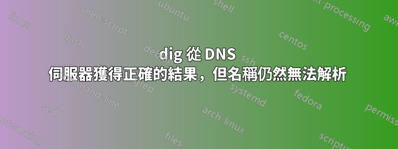 dig 從 DNS 伺服器獲得正確的結果，但名稱仍然無法解析