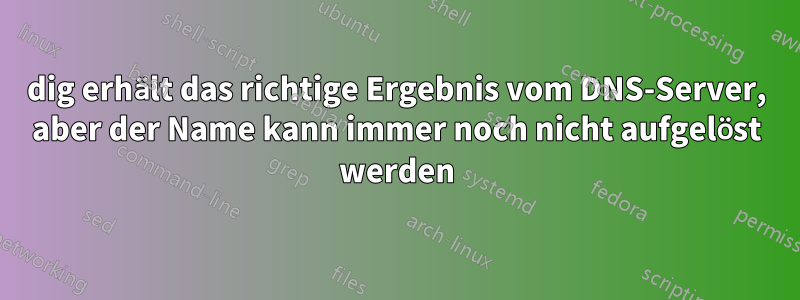 dig erhält das richtige Ergebnis vom DNS-Server, aber der Name kann immer noch nicht aufgelöst werden
