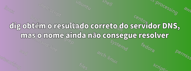 dig obtém o resultado correto do servidor DNS, mas o nome ainda não consegue resolver
