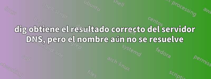 dig obtiene el resultado correcto del servidor DNS, pero el nombre aún no se resuelve