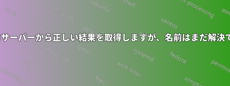 digはDNSサーバーから正しい結果を取得しますが、名前はまだ解決できません