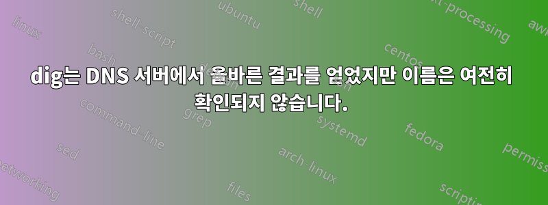 dig는 DNS 서버에서 올바른 결과를 얻었지만 이름은 여전히 ​​확인되지 않습니다.