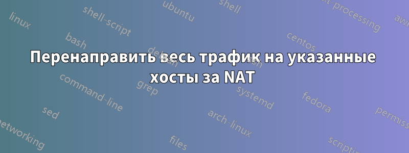 Перенаправить весь трафик на указанные хосты за NAT