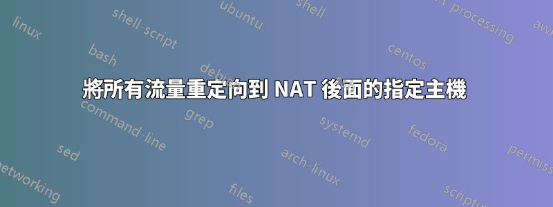 將所有流量重定向到 NAT 後面的指定主機