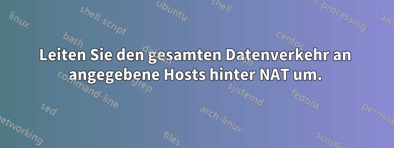 Leiten Sie den gesamten Datenverkehr an angegebene Hosts hinter NAT um.