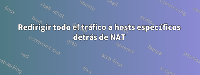 Redirigir todo el tráfico a hosts específicos detrás de NAT
