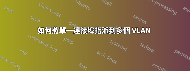 如何將單一連接埠指派到多個 VLAN