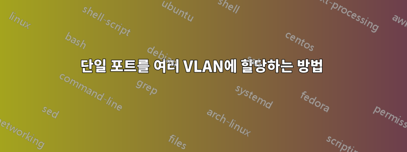 단일 포트를 여러 VLAN에 할당하는 방법