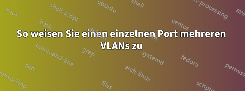 So weisen Sie einen einzelnen Port mehreren VLANs zu