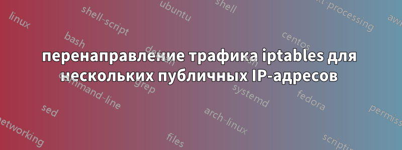 перенаправление трафика iptables для нескольких публичных IP-адресов