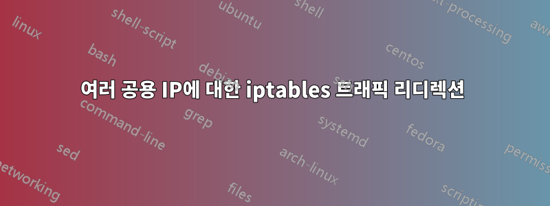 여러 공용 IP에 대한 iptables 트래픽 리디렉션