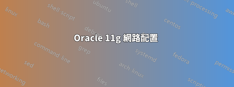 Oracle 11g 網路配置