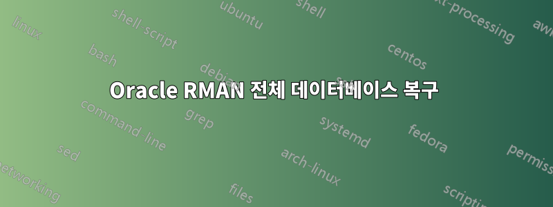 Oracle RMAN 전체 데이터베이스 복구