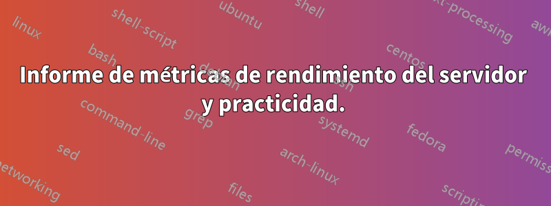Informe de métricas de rendimiento del servidor y practicidad.