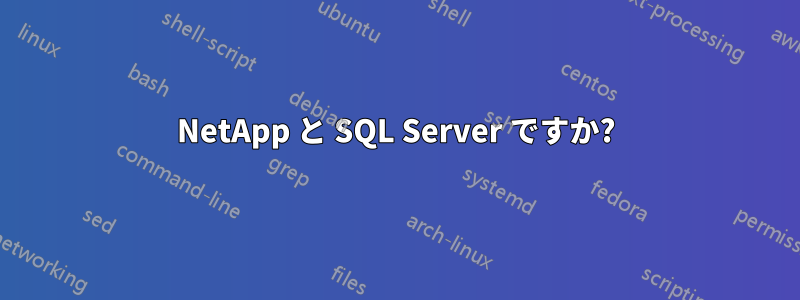 NetApp と SQL Server ですか?