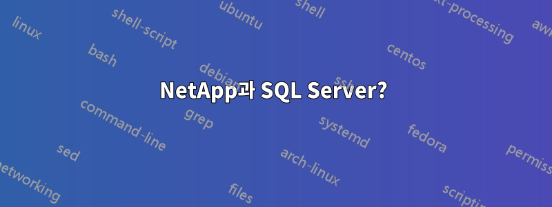 NetApp과 SQL Server?