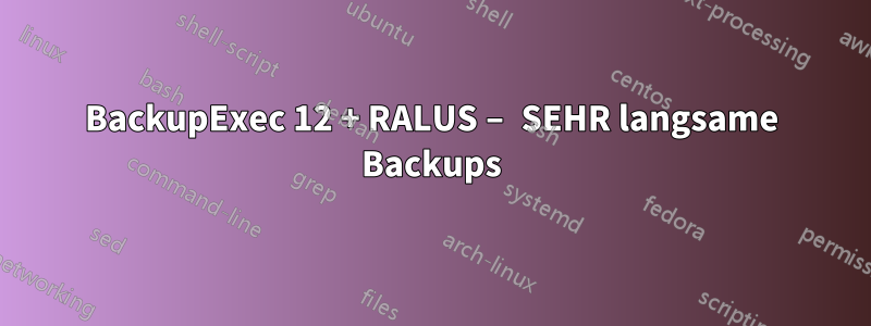 BackupExec 12 + RALUS – SEHR langsame Backups